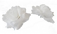 róże    białe - 1 op.